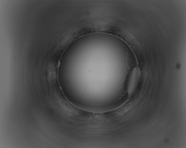 X0000093511058200710191306