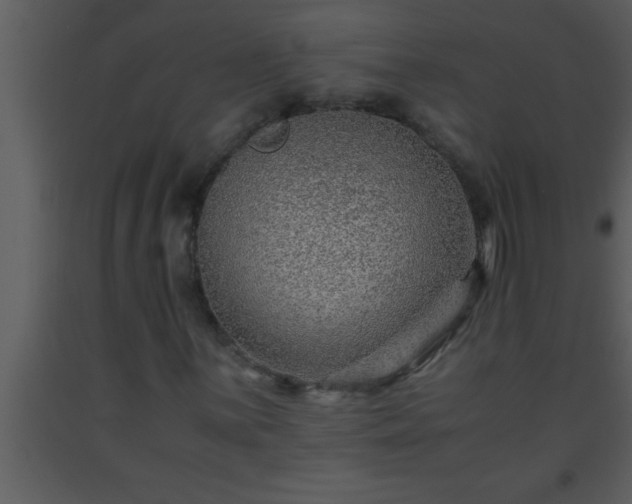 X0000093511059200710191306