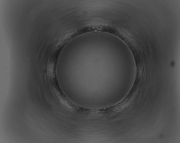 X0000093511060200710191306