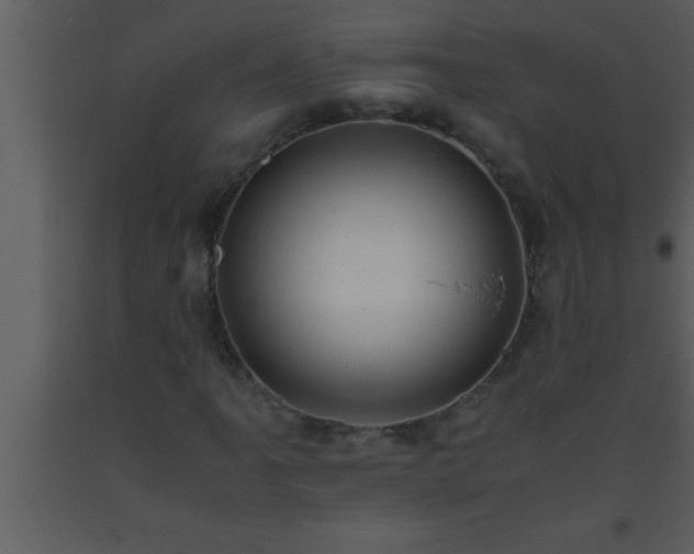 X0000093511061200710191306