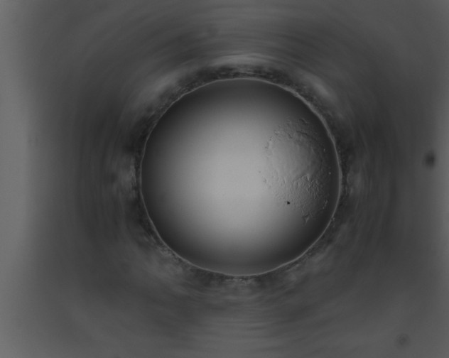 X0000093511062200710191306