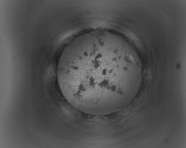 X0000093511063200710191306