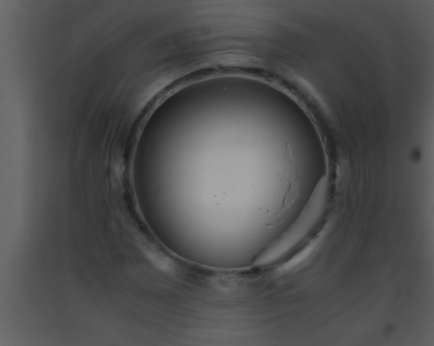 X0000093511065200710191306