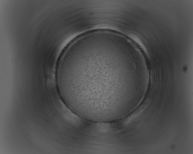 X0000093511068200710191305