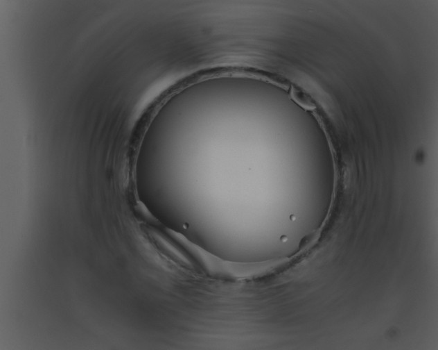 X0000093511069200710191305