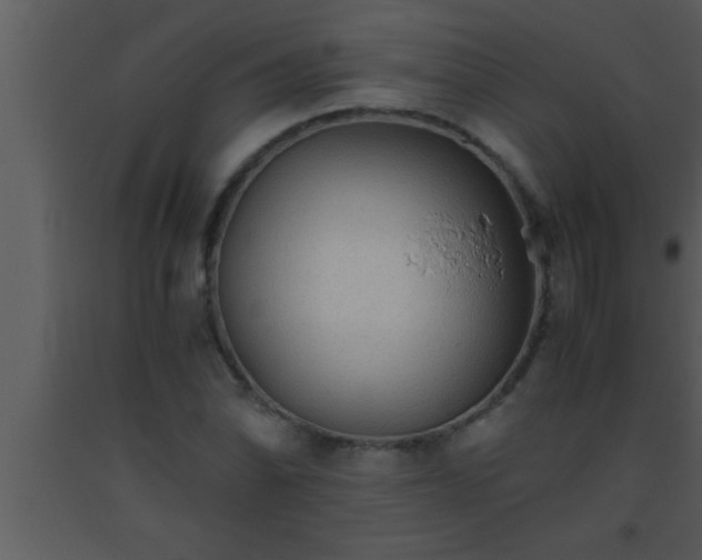 X0000093511070200710191305