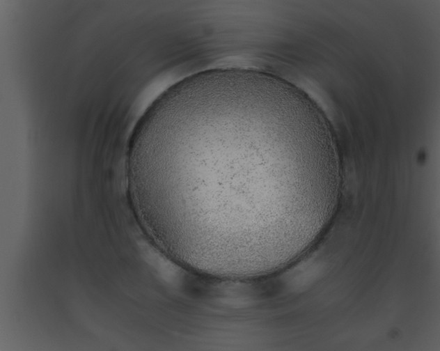 X0000093511075200710191305
