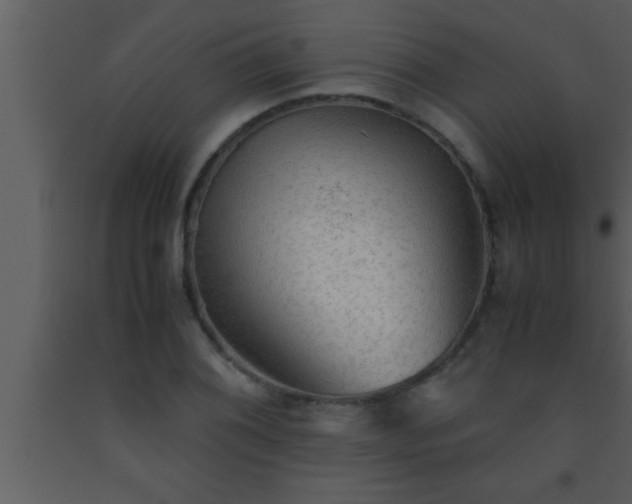X0000093511076200710191305