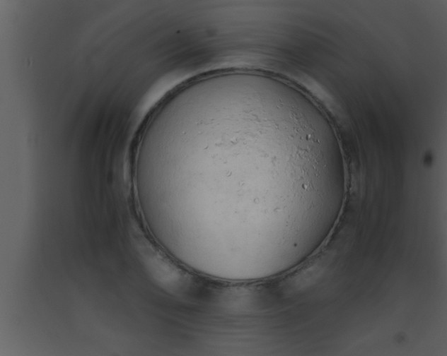 X0000093511078200710191305