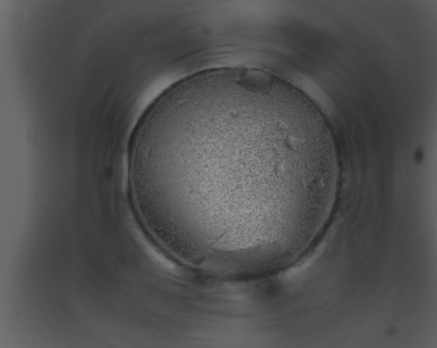 X0000093511079200710191305