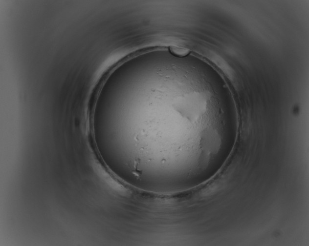 X0000093511080200710191305