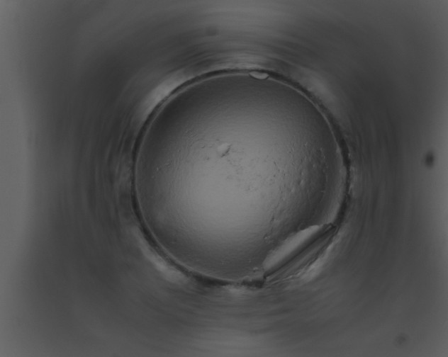 X0000093511081200710191305
