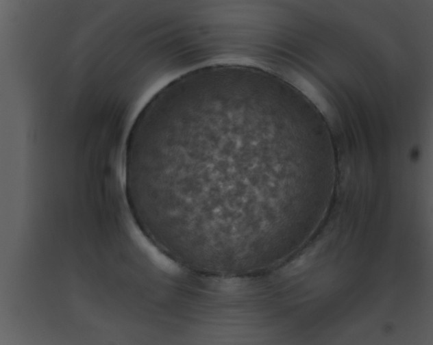 X0000093511084200710191305