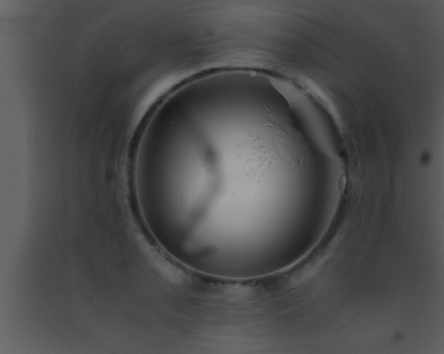 X0000093511085200710191305