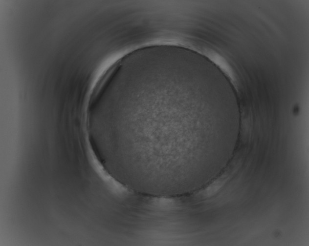 X0000093511088200710191305