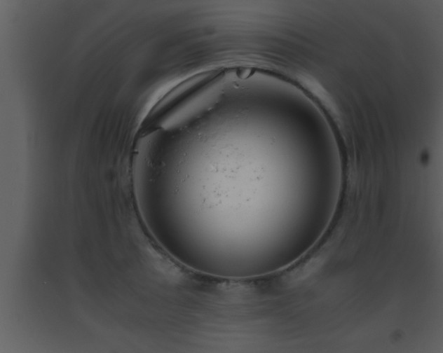 X0000093511089200710191305
