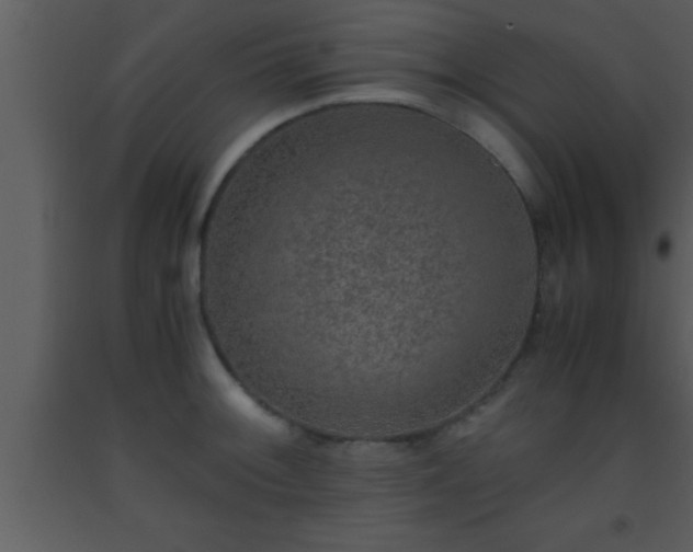 X0000093511092200710191305