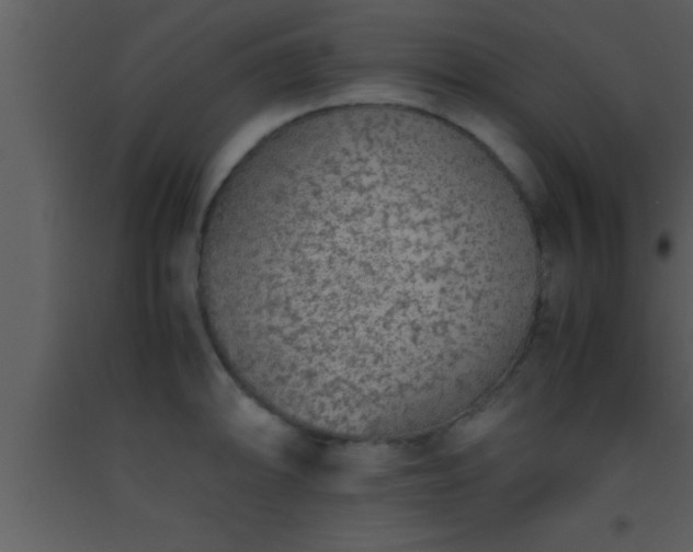 X0000093511094200710191305