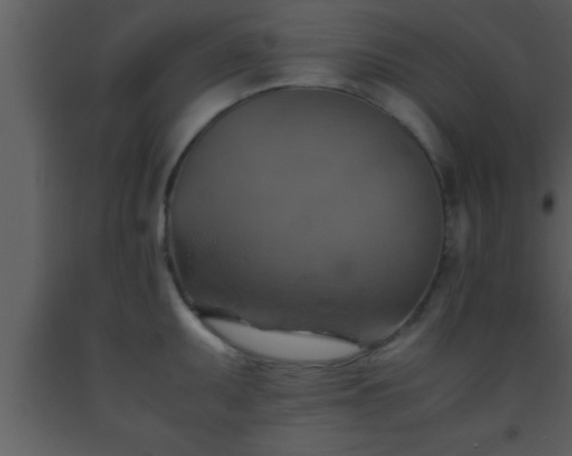 X0000093511095200710191305
