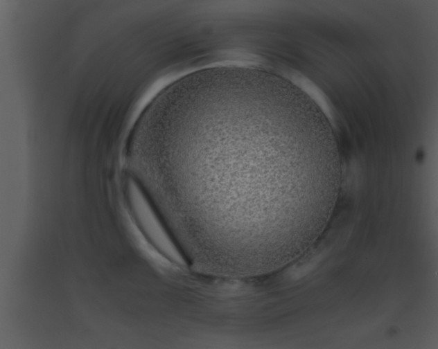 X0000093511099200710191305