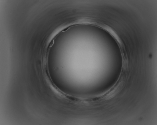 X0000093511101200710191305