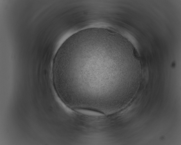 X0000093511103200710191305