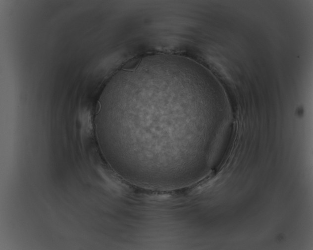 X0000093511106200710191304