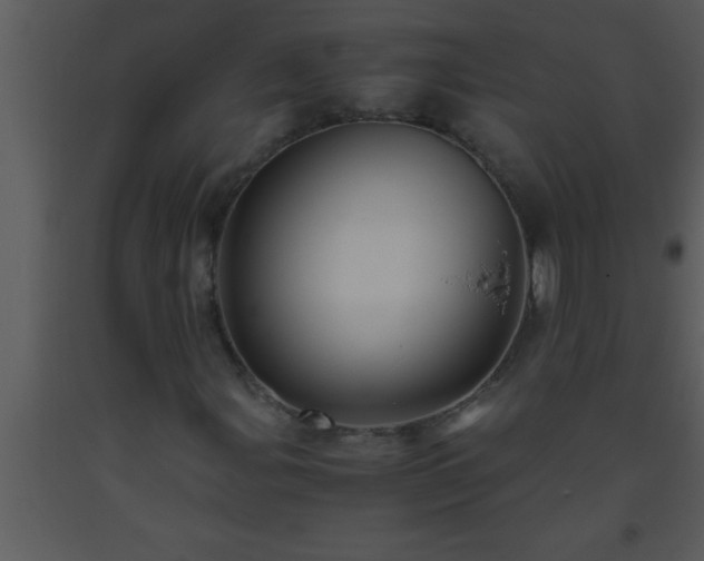 X0000093511107200710191304