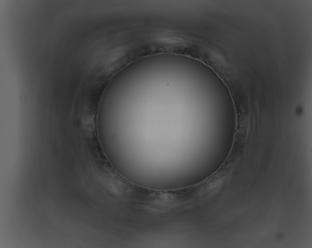 X0000093511109200710191304