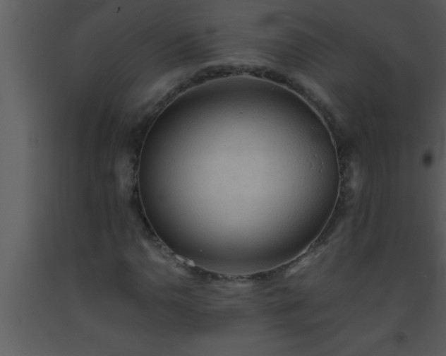 X0000093511110200710191304