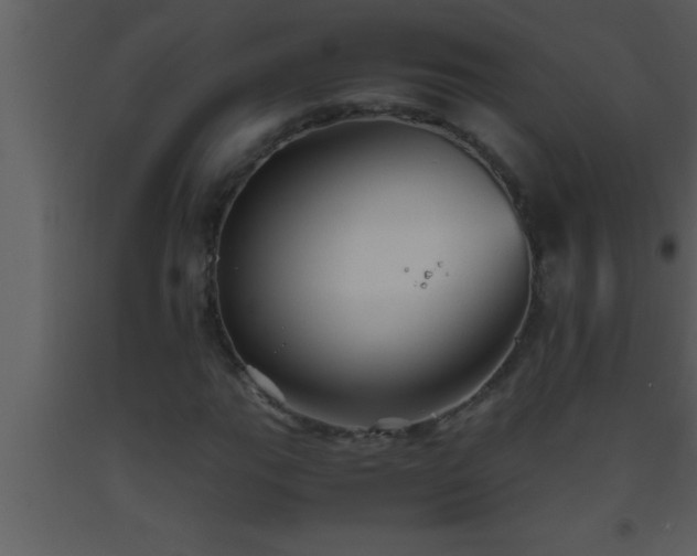 X0000093511111200710191304