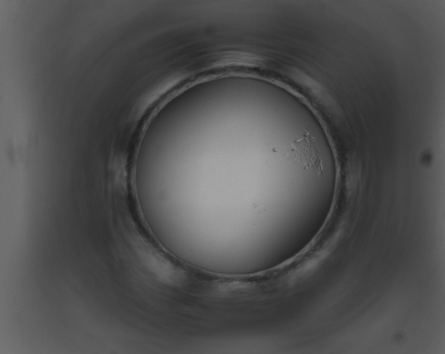 X0000093511113200710191304
