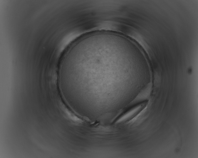 X0000093511115200710191304