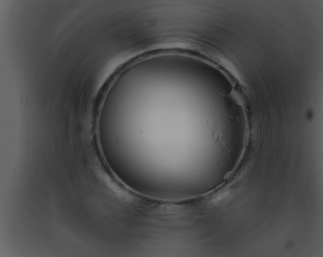 X0000093511116200710191304