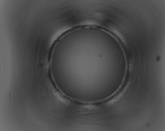 X0000093511117200710191304