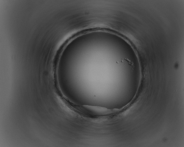 X0000093511118200710191304