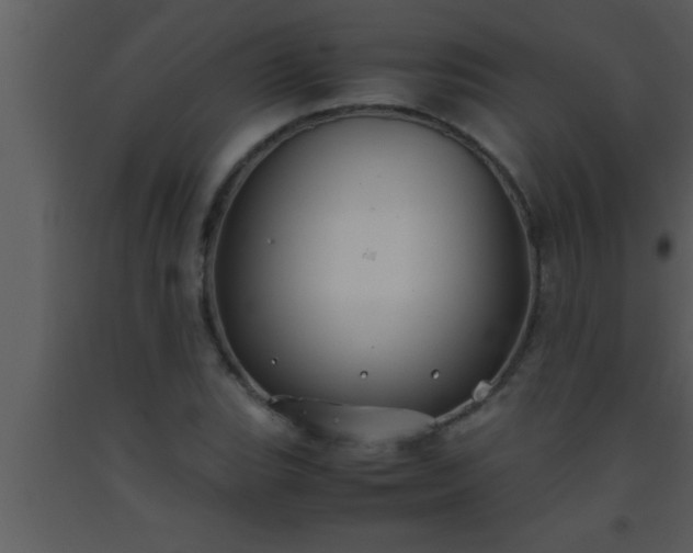 X0000093511119200710191304
