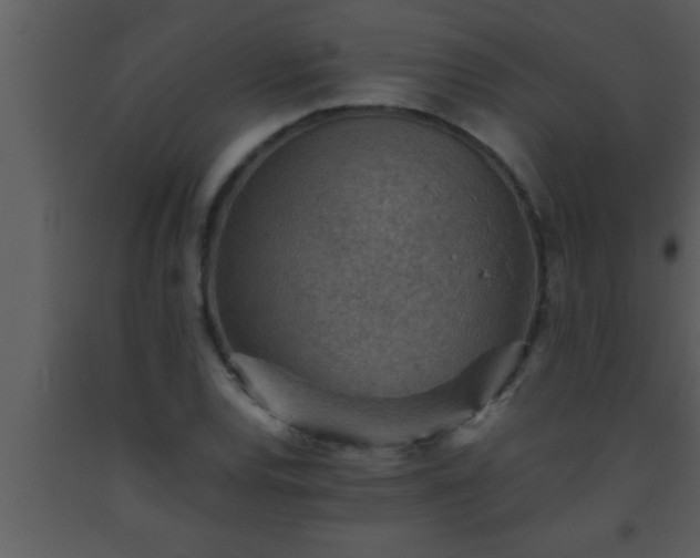 X0000093511120200710191304