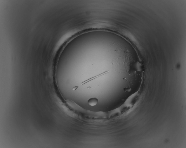 X0000093511122200710191304