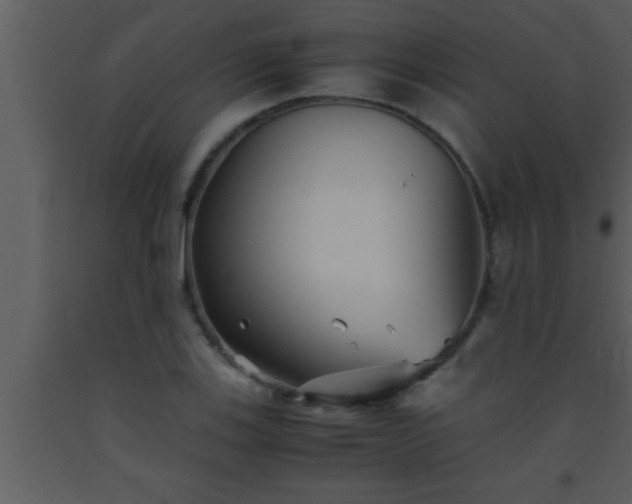 X0000093511123200710191304