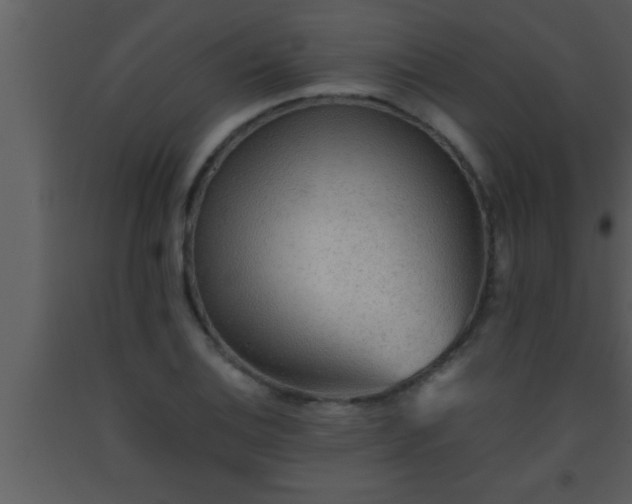 X0000093511124200710191304