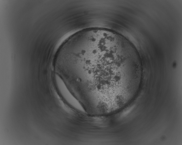 X0000093511125200710191304