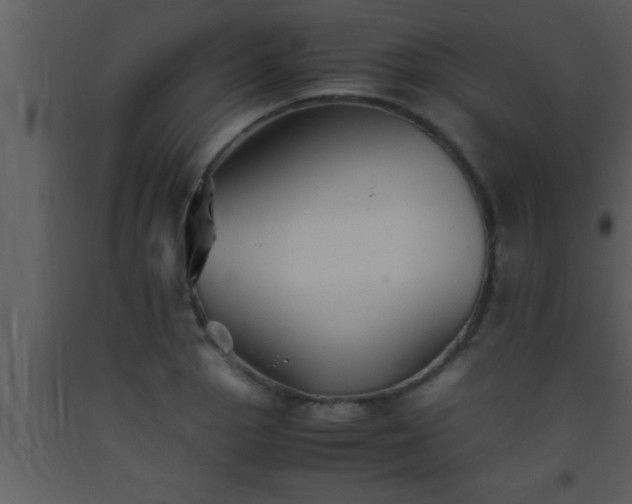 X0000093511129200710191305