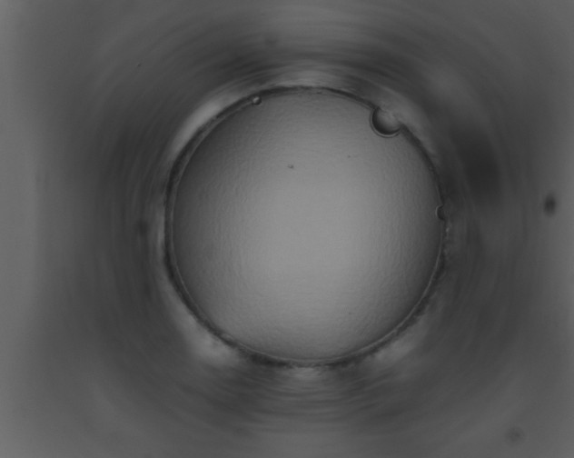 X0000093511130200710191305