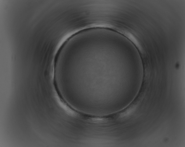 X0000093511132200710191305