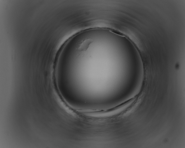 X0000093511134200710191305