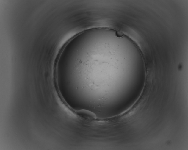 X0000093511135200710191305