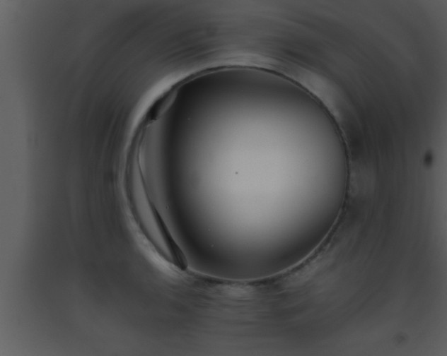 X0000093511136200710191305