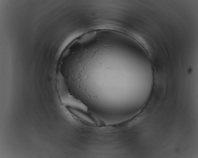 X0000093511138200710191305