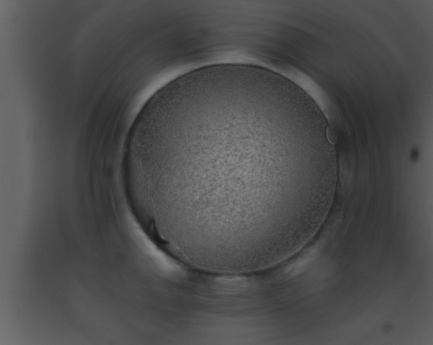 X0000093511142200710191305
